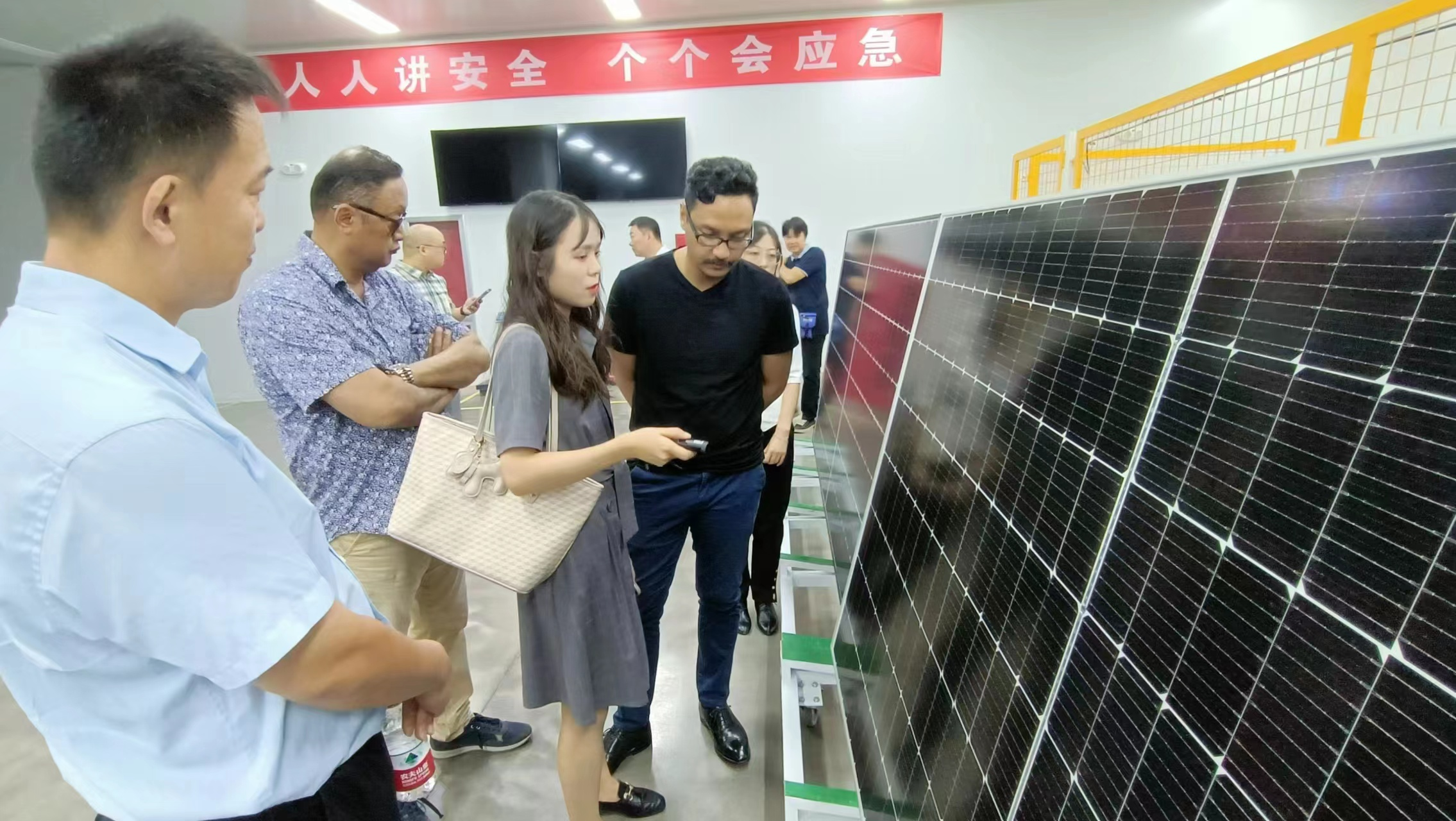 马达加斯加政府领导到齐鲁储能谷开展业务交流活动